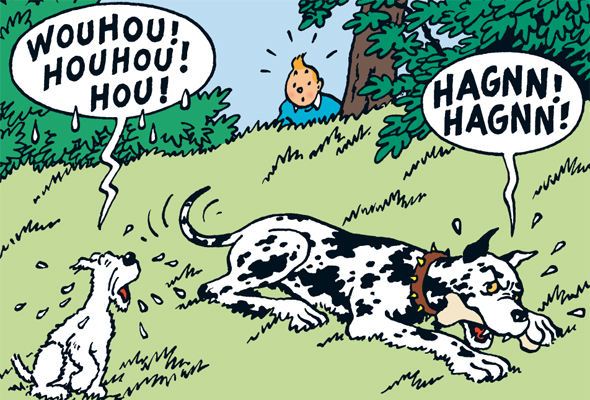 dog in tintin