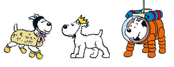 snowy tintin dog breed